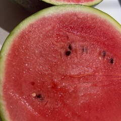 無農薬 スイカ🍉の画像