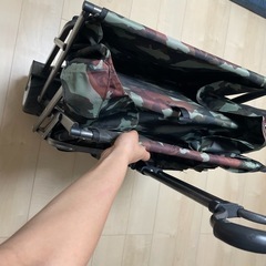 🌸おりたたみキャリーカートの画像