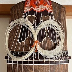 琴