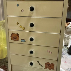 レトロ　ひきだし
