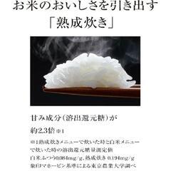 象印 圧力IH炊飯器 5.5合 ダークブラウン NP-ZF10 NP-ZF10-TD

の画像