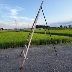 造園　７段 三脚　剪定　梯子　ハシゴ の画像