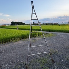 造園　７段 三脚　剪定　梯子　ハシゴ 