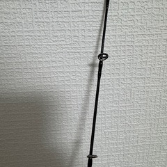 ダイワ　ソルティガ　R J62B-2 TGの画像