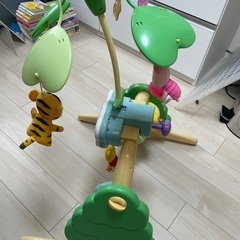 プーメリーお譲りしますの画像
