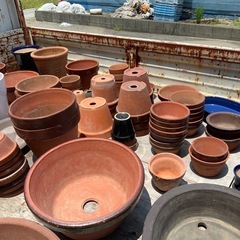 50円〜 植木鉢 盆栽鉢 大量 ガーデニングに まとめ買い歓迎 高知市仁井田までの画像
