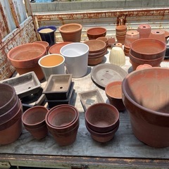 50円〜 植木鉢 盆栽鉢 大量 ガーデニングに まとめ買い歓迎 高知市仁井田までの画像