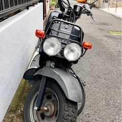 大人気　HONDA　ズーマー　自賠責ほぼ1年ついてます！の画像