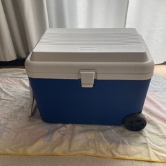 キャリータイプ クーラーボックス