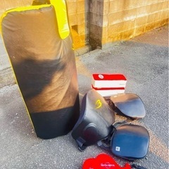 格闘技ミットセットの画像