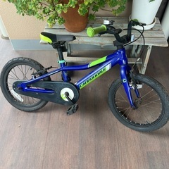 cannondale 16インチ　
の画像