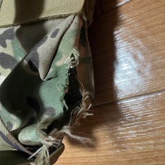 チェストリグ
の画像