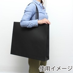 ショッパー　シモジマ　紙袋　　の画像