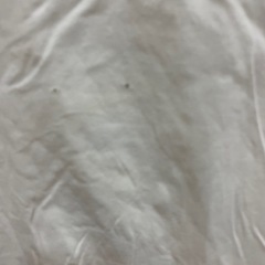 アルマーニ　tシャツ　の画像