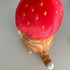 いちごネコ⭐︎ぬいぐるみの画像