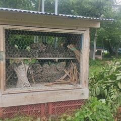 サクランボ　農園用　ハチの巣の画像