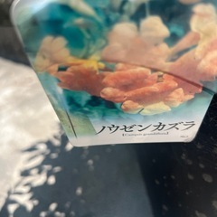 ノウゼンカズラの画像