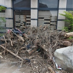 土 畑の土 庭土 植え土