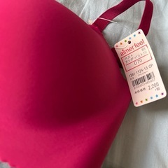 aimer feel 新品未使用　ブラショーツの画像