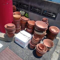 植木鉢 差し上げますの画像
