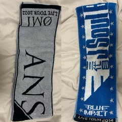 LDH マフラータオル　ライブグッズ　三代目　ランペ　EXILE 登坂広臣の画像