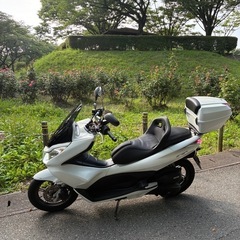 pcx 125の画像