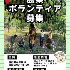 むくな豆畑ボランティア募集　