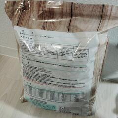 バミューダ　チモシーの画像