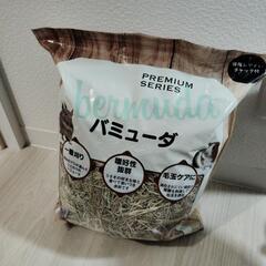 バミューダ　チモシーの画像