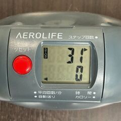 AEROLIFE エアロライフ サイドステッパー DR-3865の画像