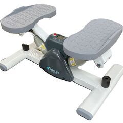 AEROLIFE エアロライフ サイドステッパー DR-3865の画像
