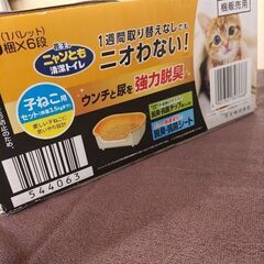 花王のニャンとも清潔トイレの画像