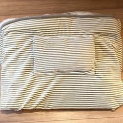 ソフトフランネル毛布 フランネル毛布 毛布 膝掛け ひざ掛け ブランケットの画像