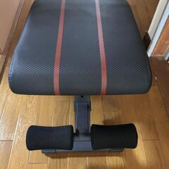 FLYBIRD トレーニングベンチ 高さ42cmの画像