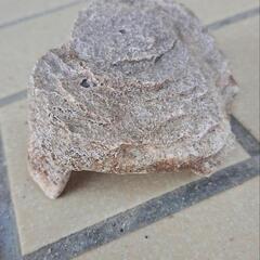 差し上げます🐢🐟亀やメダカのお家の画像