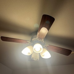 東京インテリア⭐︎シーリングファンの画像