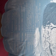 浮き輪　ベビーボート　足入れ浮き輪　ミッフィー　電車の画像