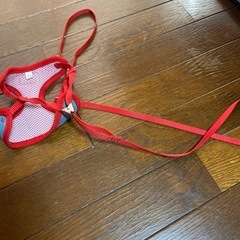 お散歩リード
の画像