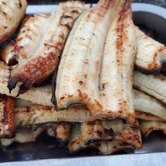 18.うなぎ釣り専門グループ✨　　　ラインオプチャメンバー…
