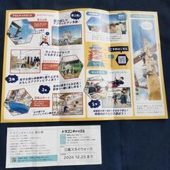 ドラゴンキャッスルパンフレットと割引券、１枚で４名まで利用可能、１２月２５日まで。の画像