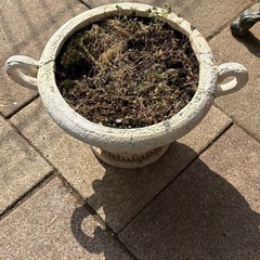 植木鉢の画像