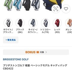 キャディーバック
の画像
