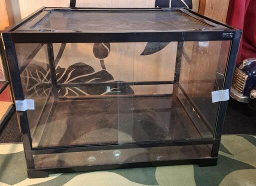 爬虫類　レプティワイルド6045