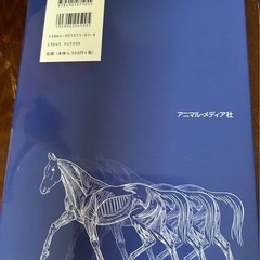 馬の理学療法マッサージの画像
