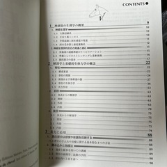 馬の理学療法マッサージの画像