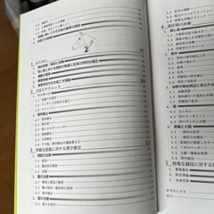 馬の理学療法マッサージの画像