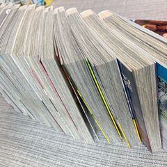 ゴールデンカムイ 17巻までセットの画像