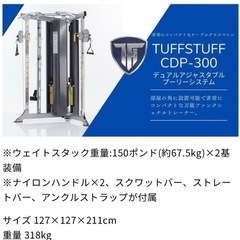 タフスタッフ　CDP-300 筋トレマシン　トレーニング　美品の画像