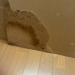 (急募）4段ラックの画像