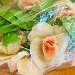 造花と吸水スポンジセットの画像